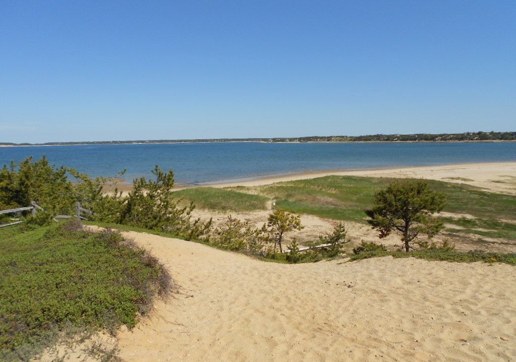 Photo of Others in Wellfleet