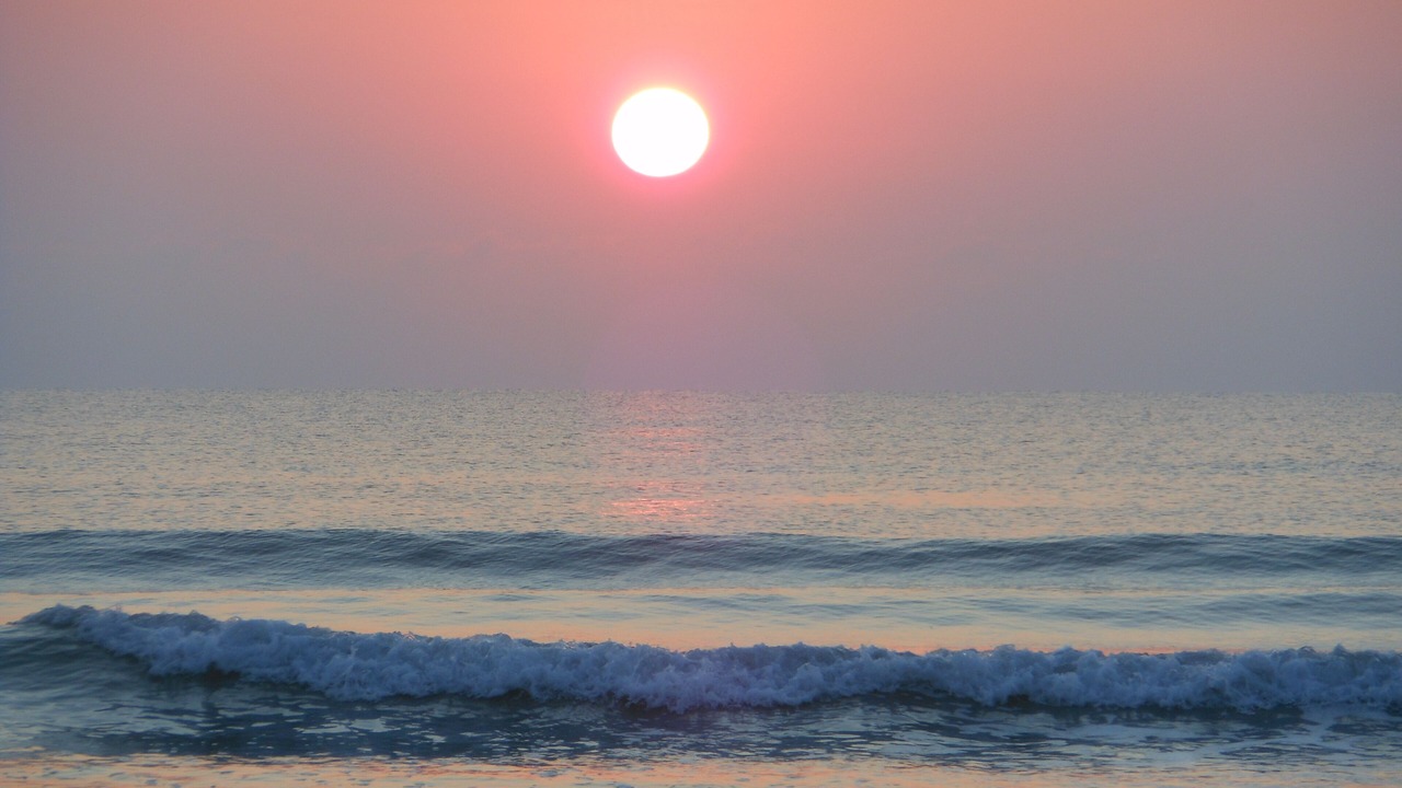 Photo of Others in Madeira Beach