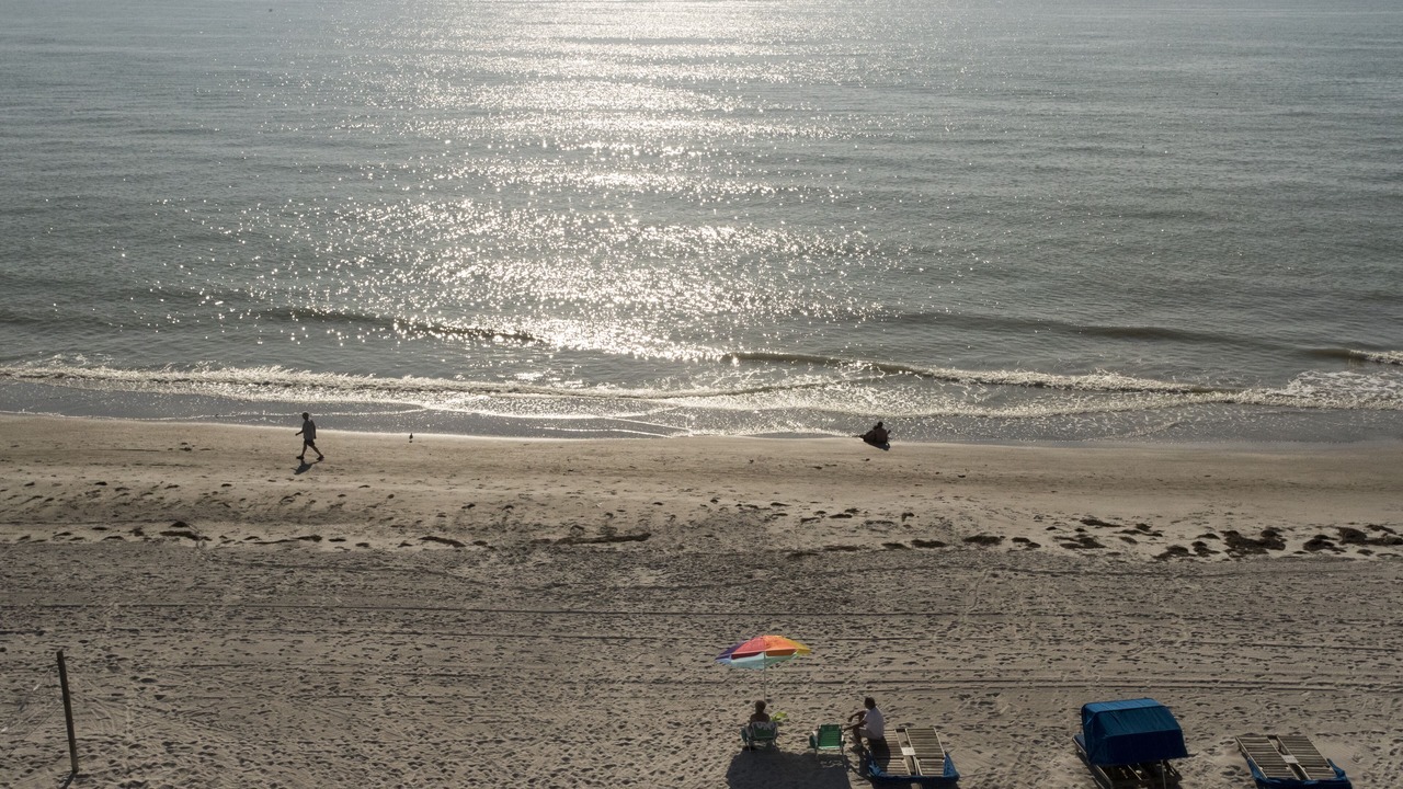 Photo of Others in Madeira Beach