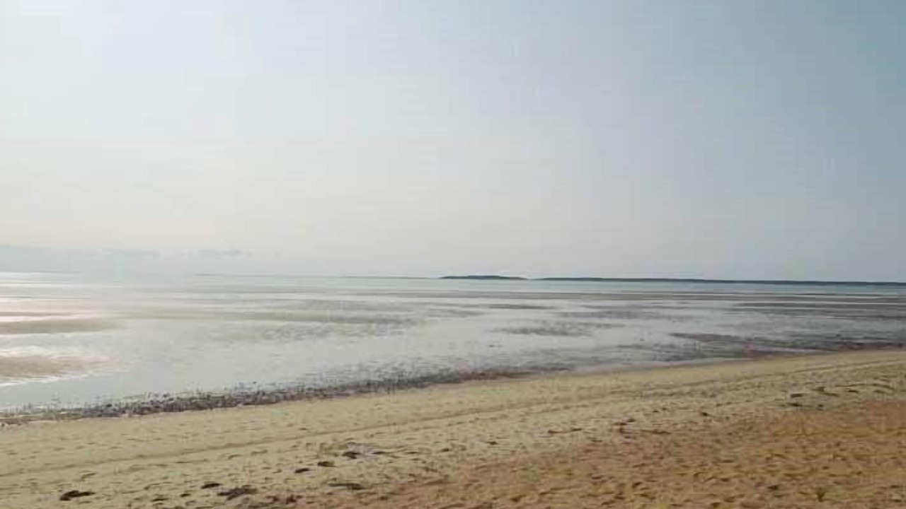 Photo of Others in North Eastham