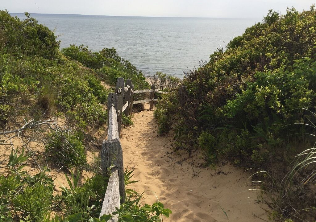 Photo of Others in North Eastham