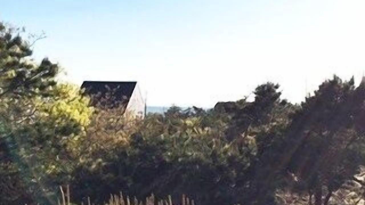 Photo of Others in North Eastham