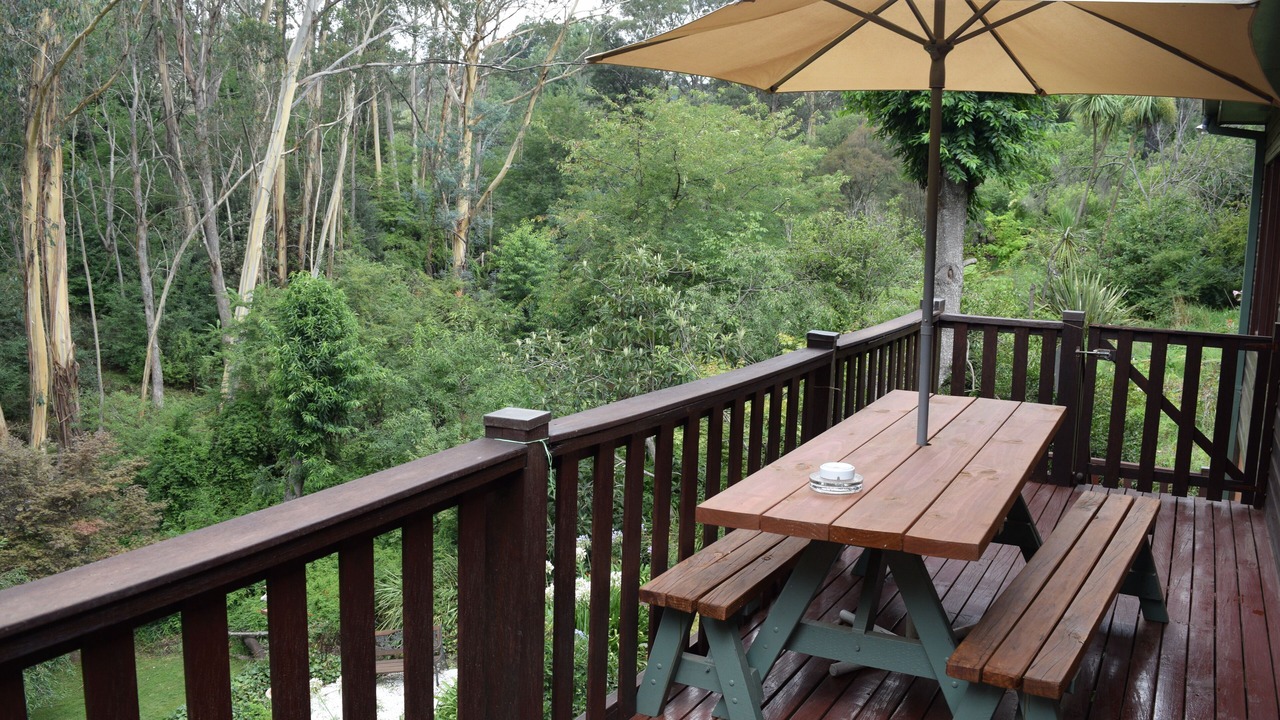 Photo of Outdoor in Leura
