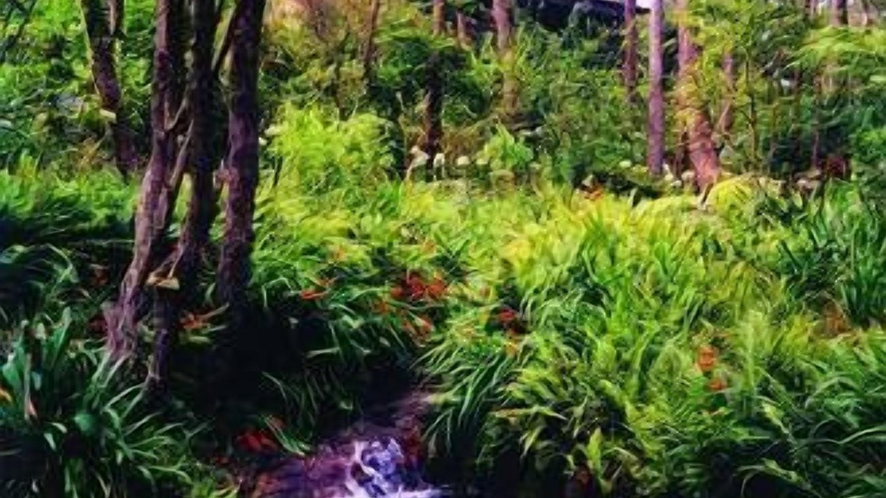 Photo of Outdoor in Leura