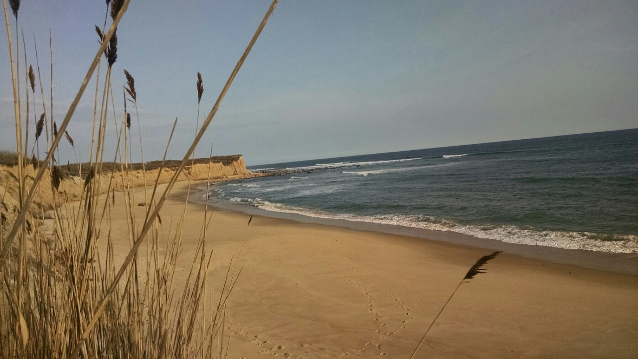 Photo of Others in Montauk
