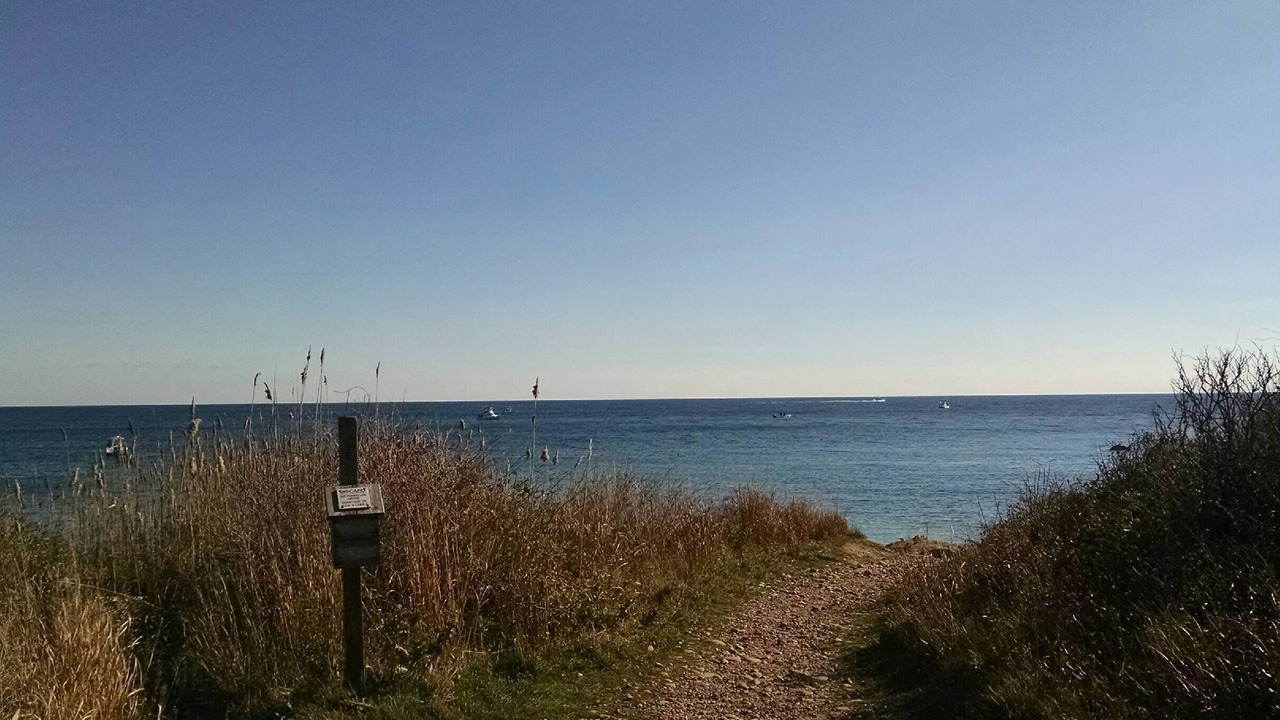 Photo of Others in Montauk