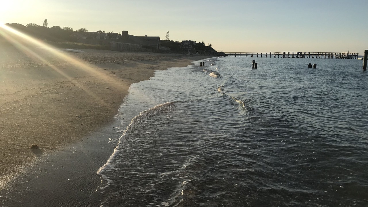 Photo of Others in East Chop