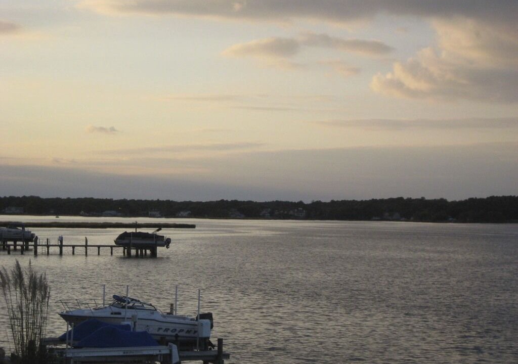 Photo of Others in Ocean Pines