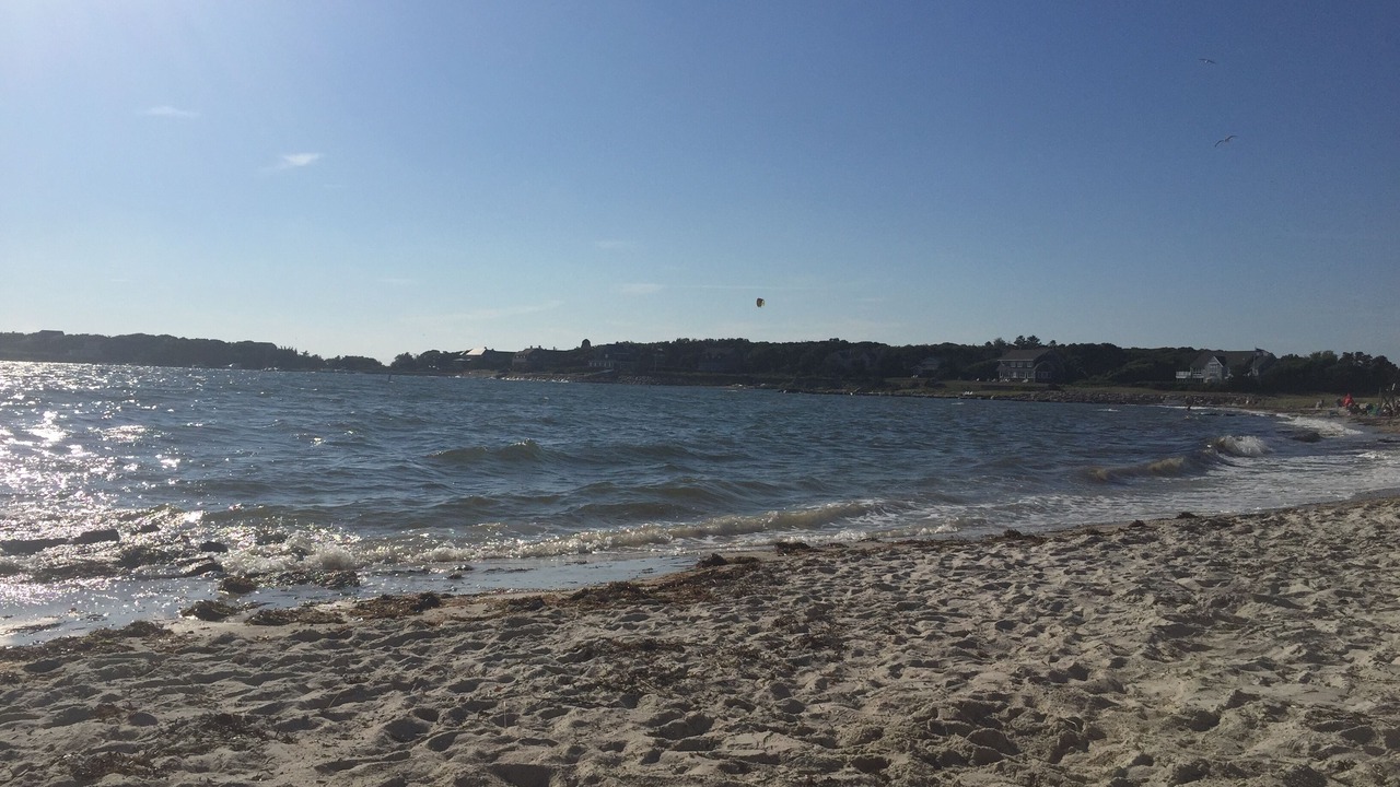 Photo of Others in Silver Beach