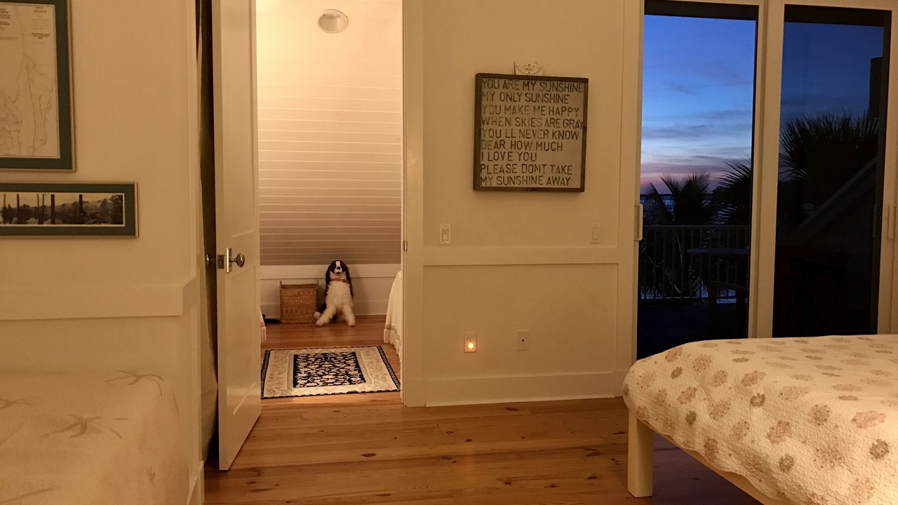Photo of Bedroom in Whitney Beach