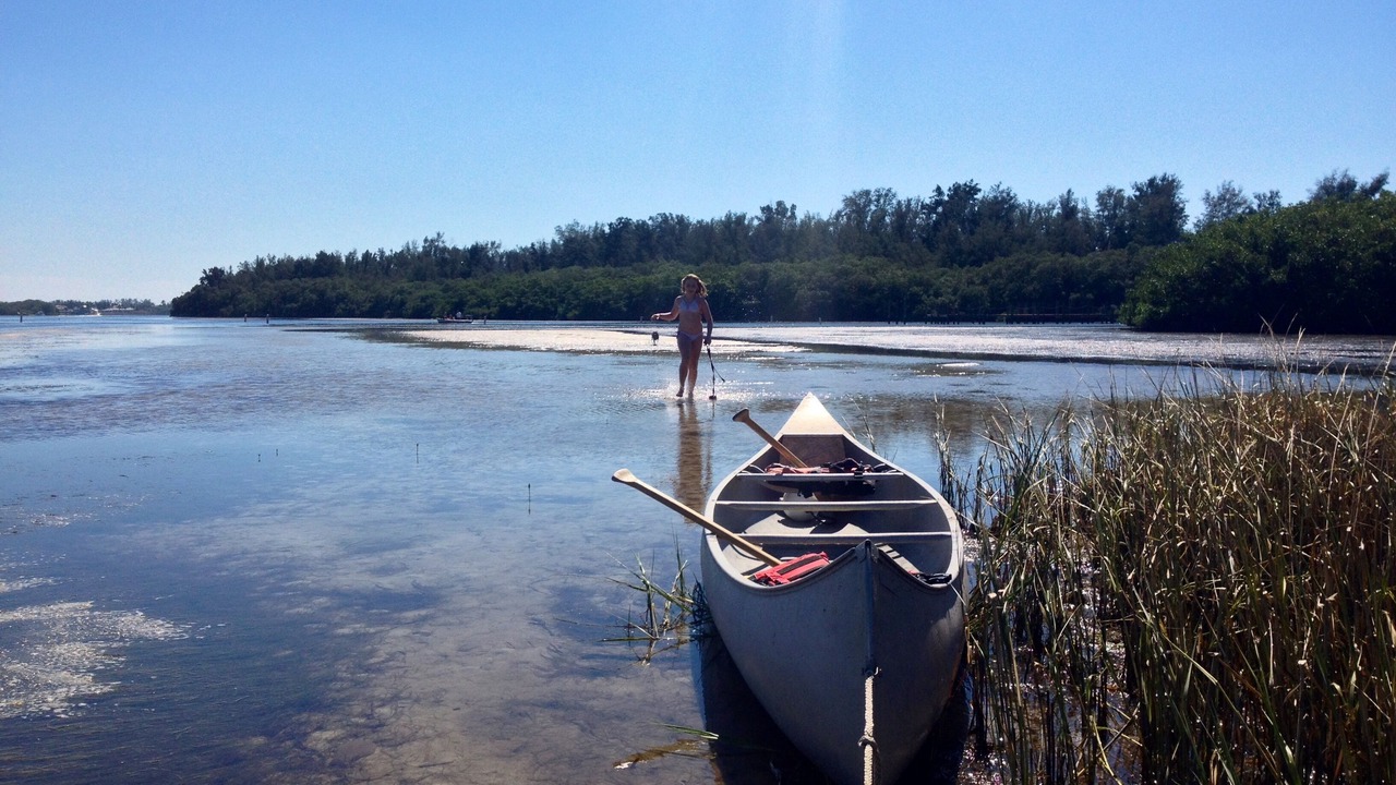 Photo of Others in Whitney Beach