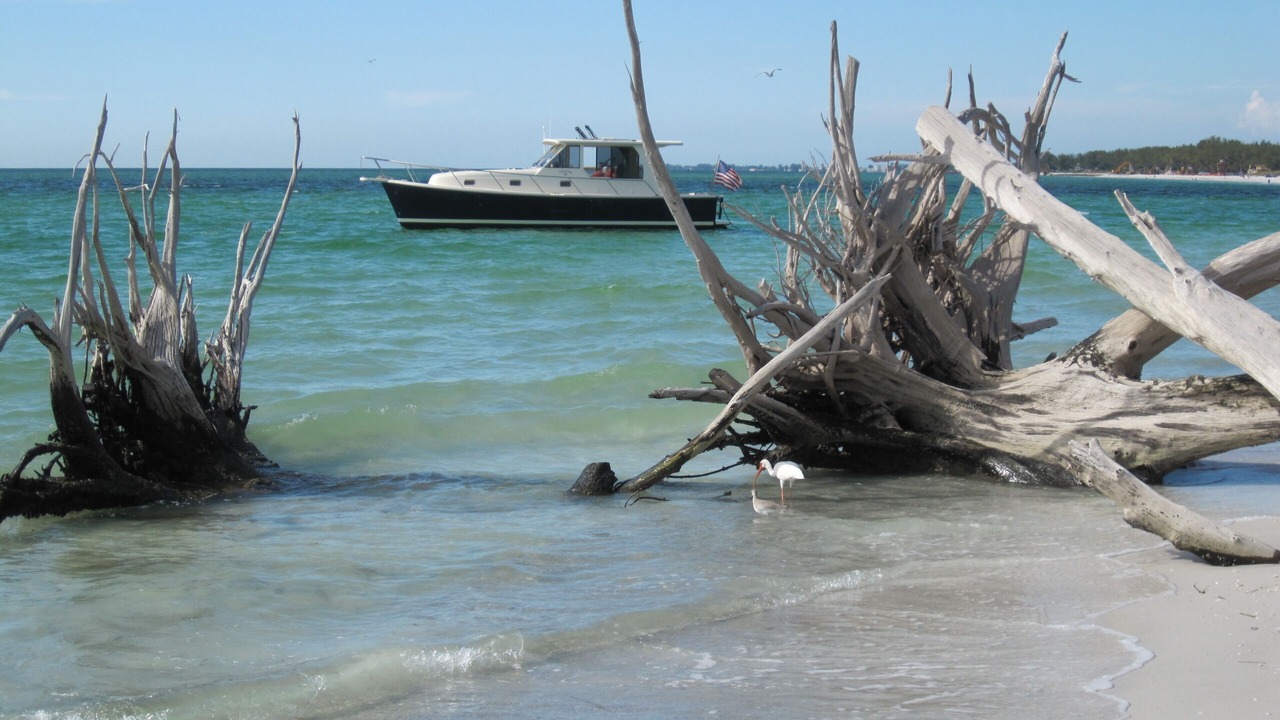 Photo of Others in Whitney Beach