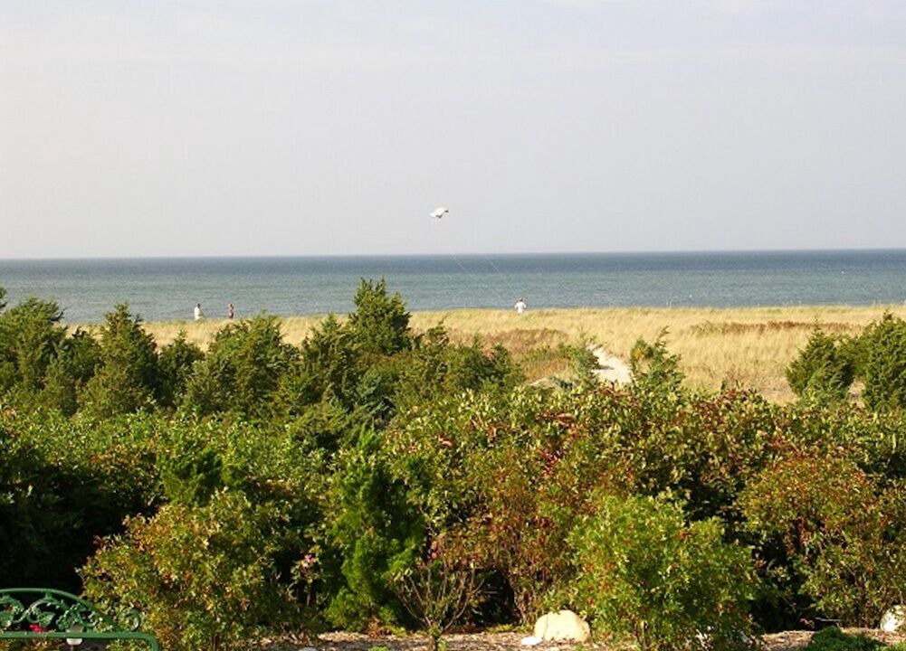 Photo of Others in Brewster
