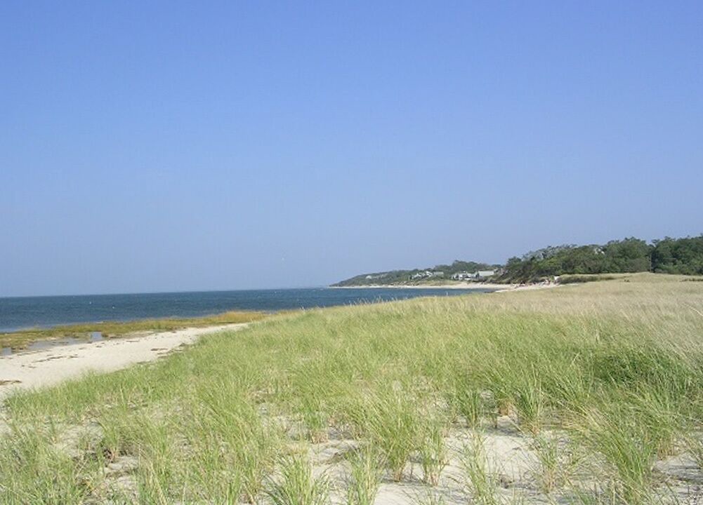 Photo of Others in Brewster