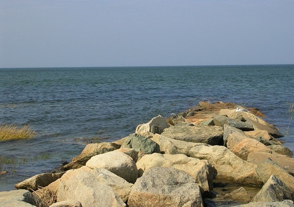 Photo of Others in Brewster