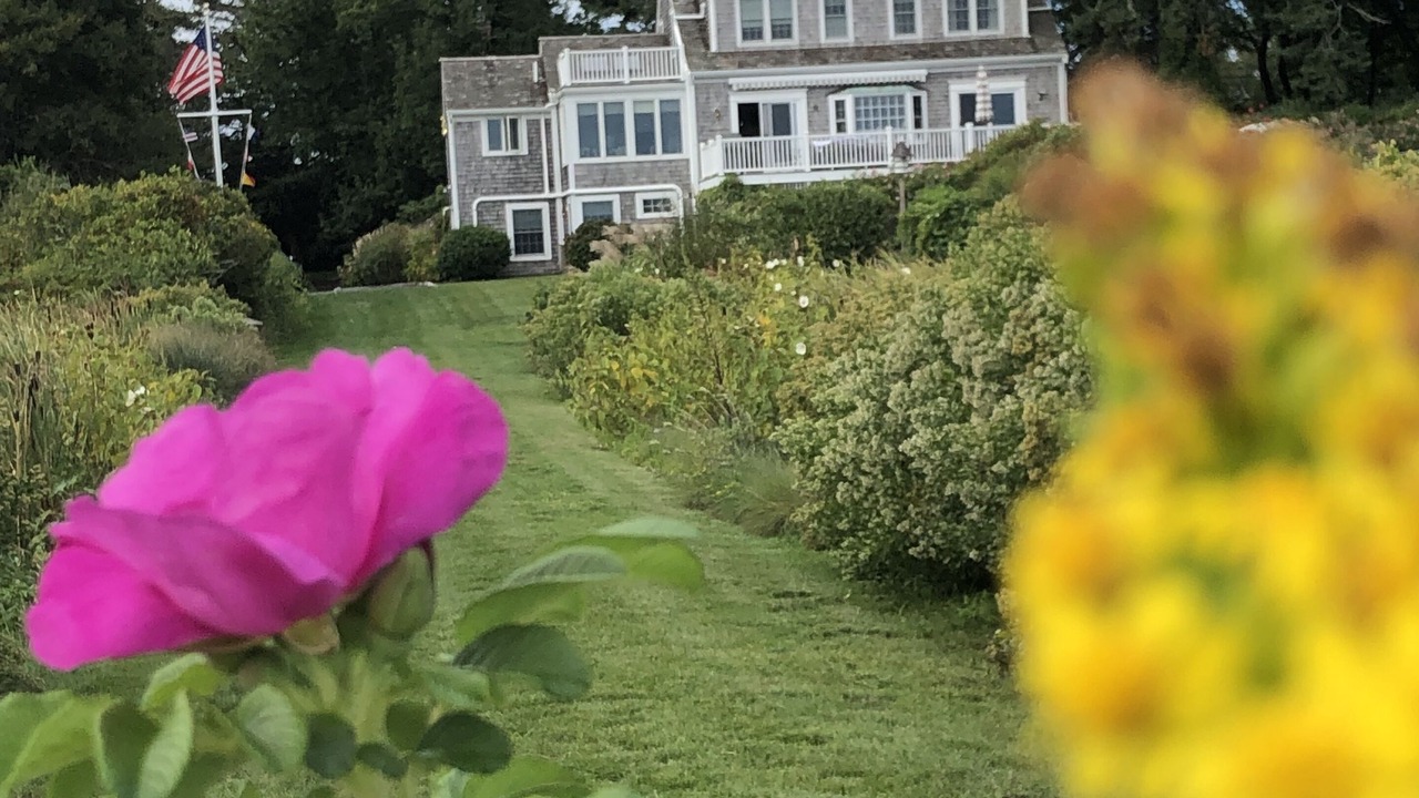 Photo of Outdoor in Orleans