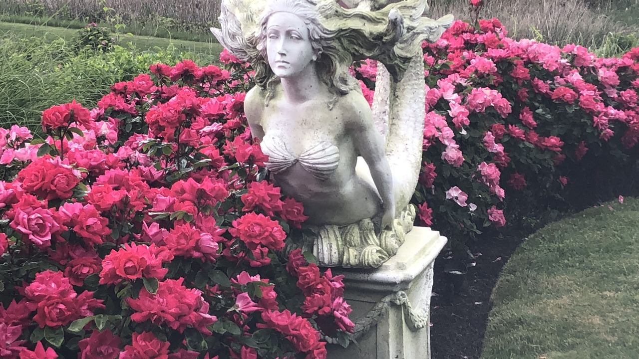 Photo of Outdoor in Orleans