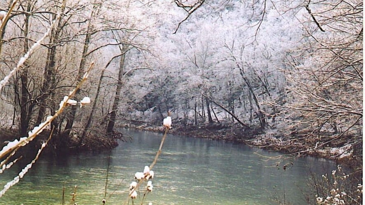 Photo of Others in Lexington