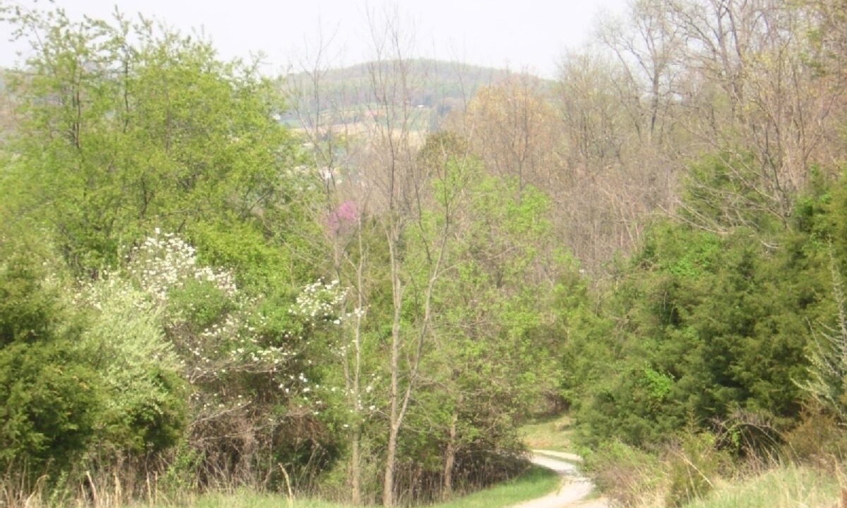 Photo of Others in Lexington