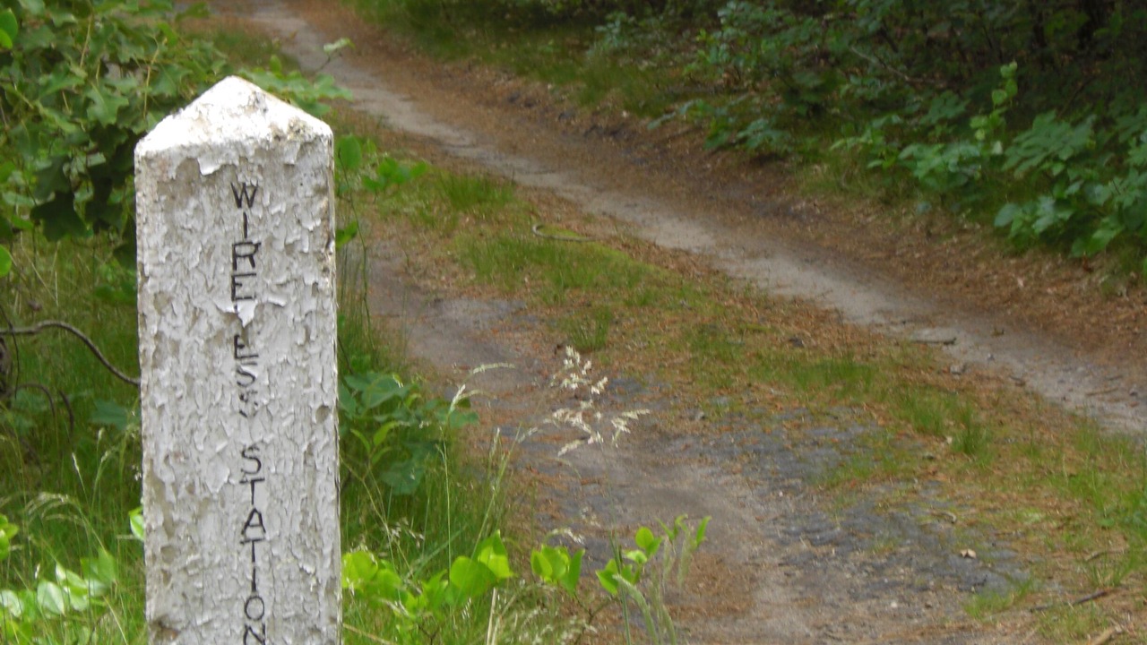 Photo of Outdoor in Wellfleet