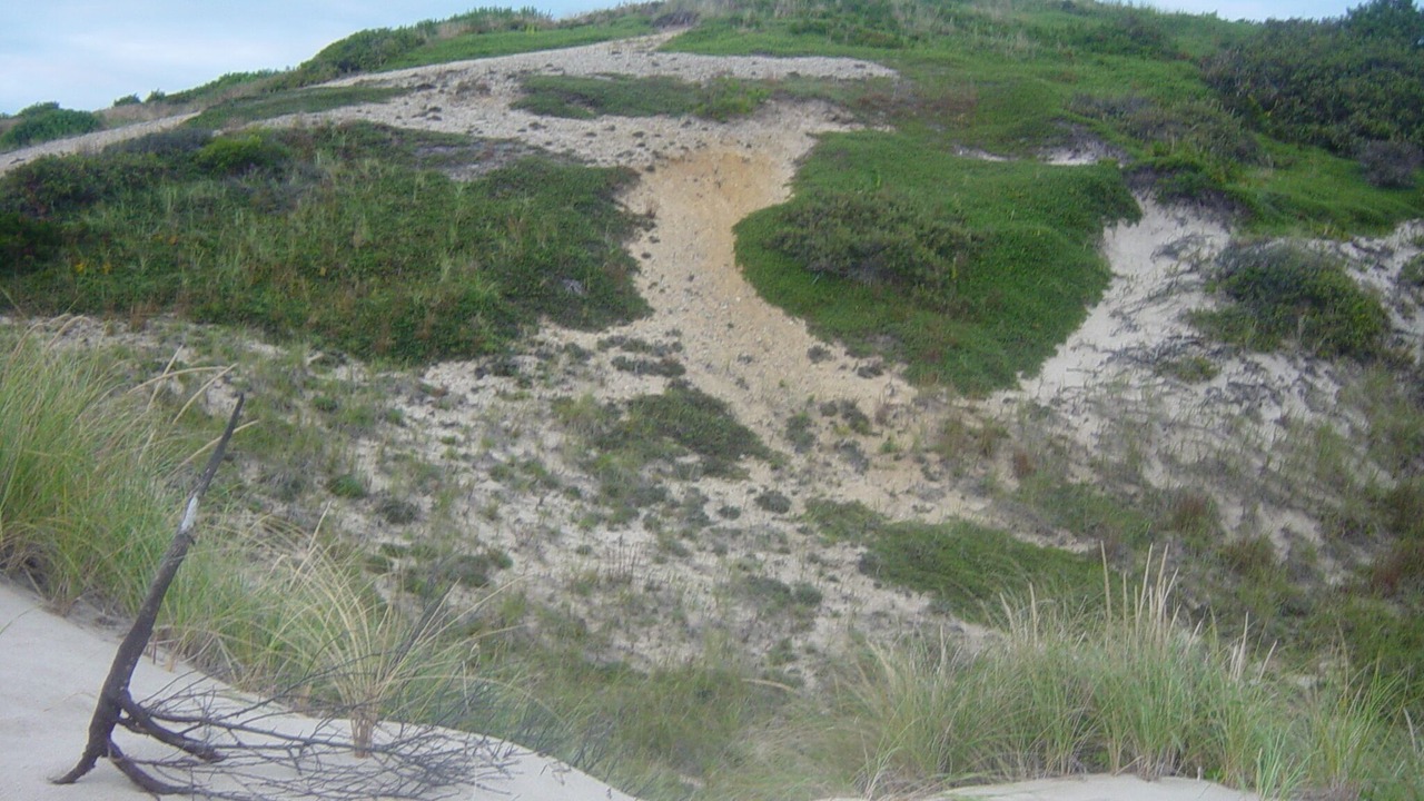 Photo of Others in Wellfleet