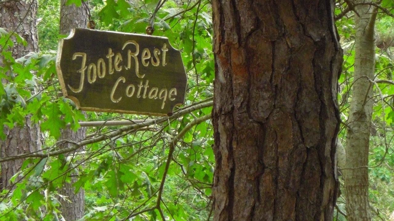 Photo of Outdoor in Wellfleet