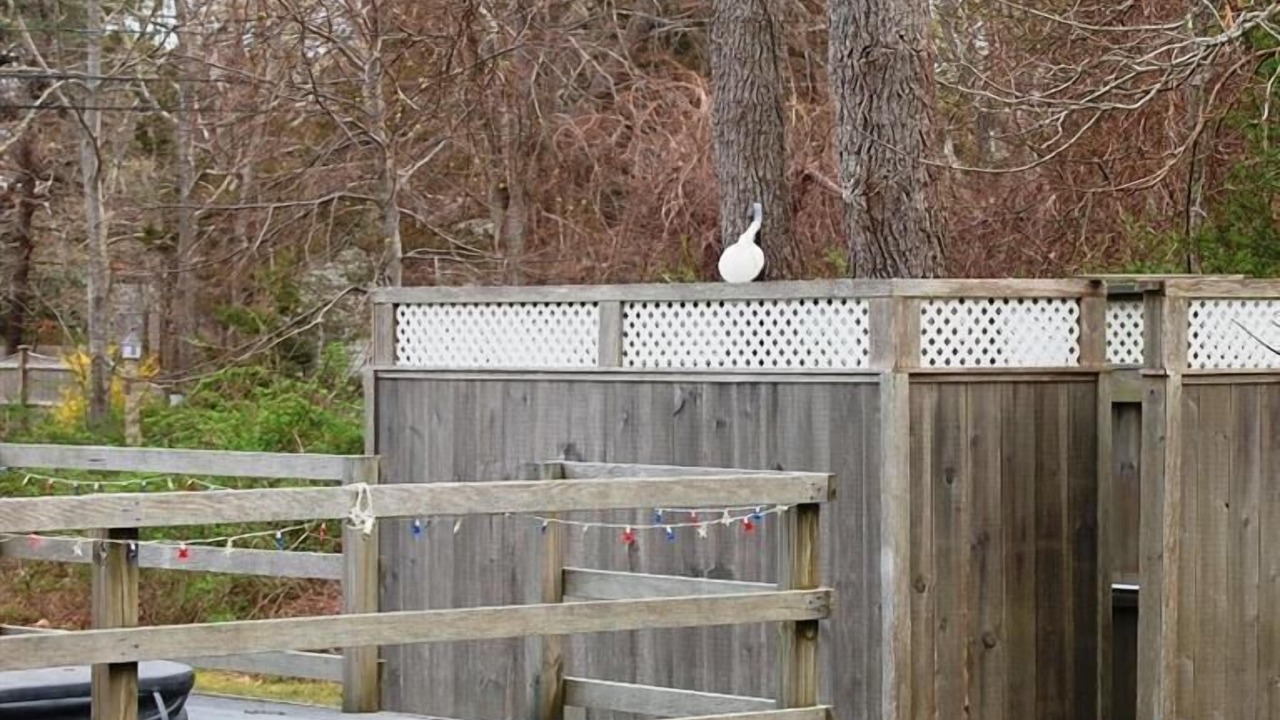 Photo of Outdoor in Orleans