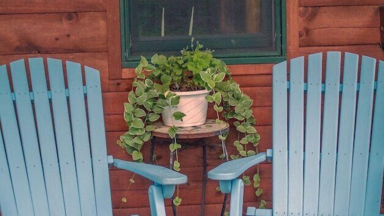 Photo of Outdoor in Lodi