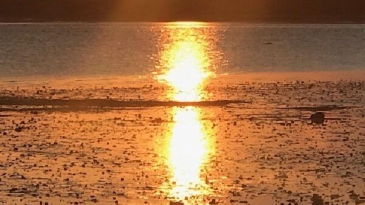 Photo of Others in Wellfleet
