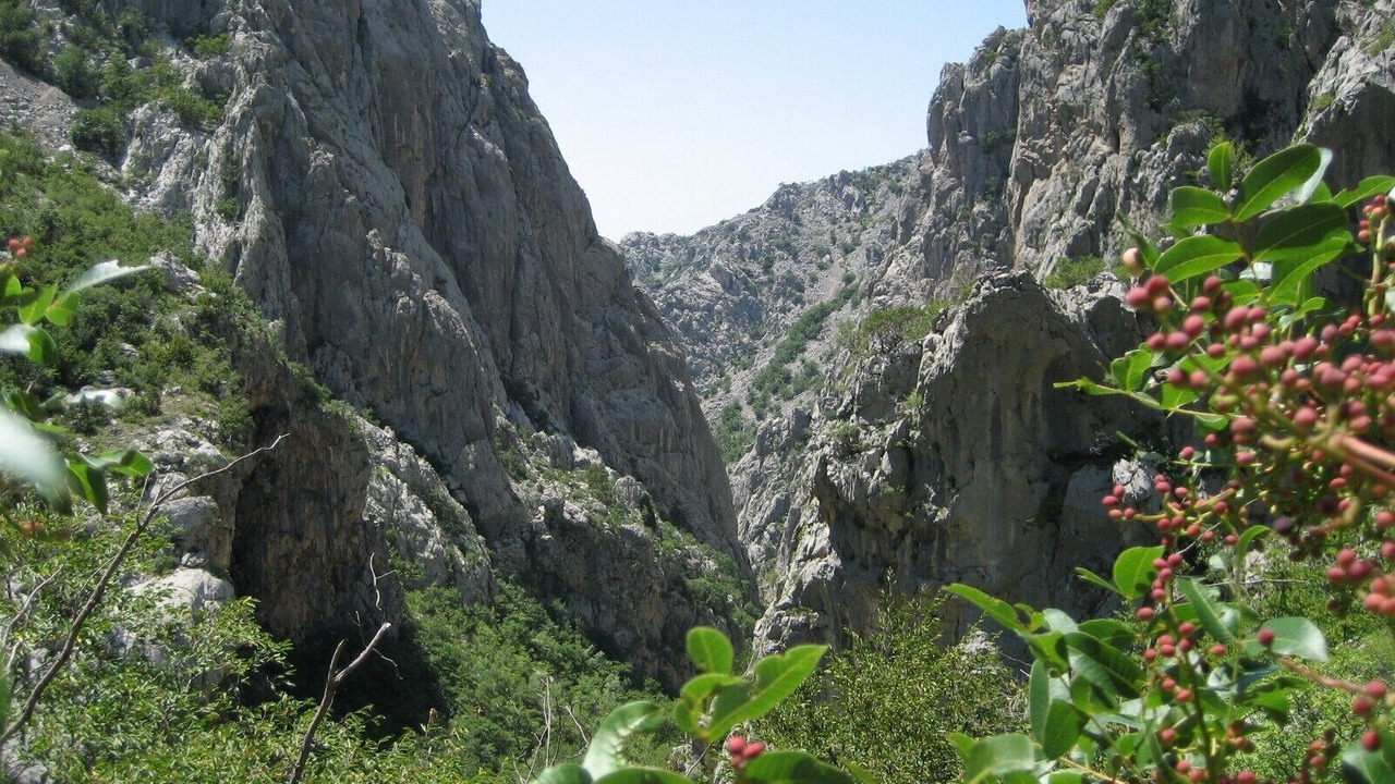 Photo of Outdoor in Tijesno