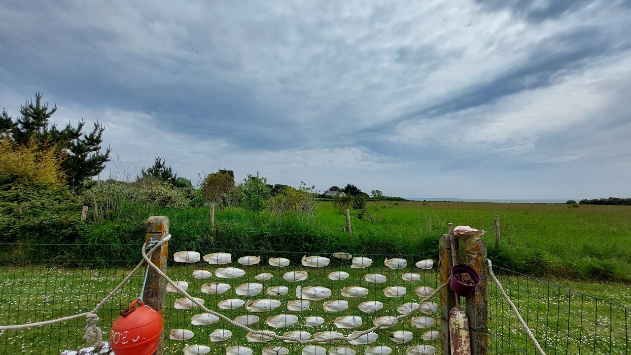Photo of Outdoor in Damgan