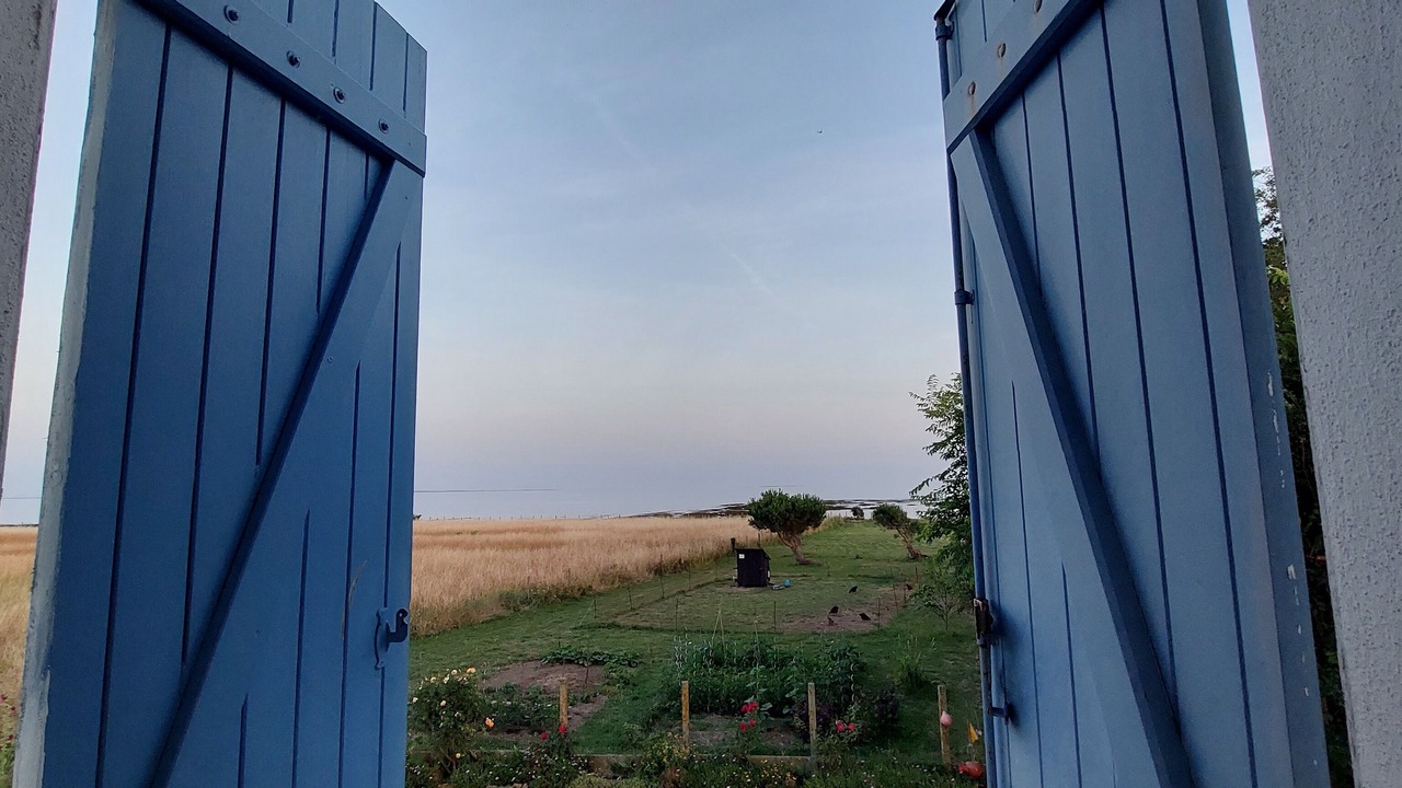 Photo of Outdoor in Damgan
