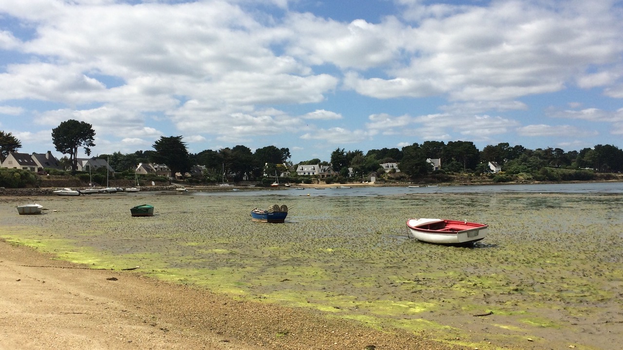 Photo of Others in Arzon