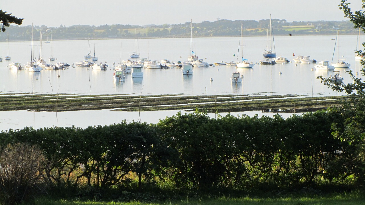 Photo of Others in Arzon