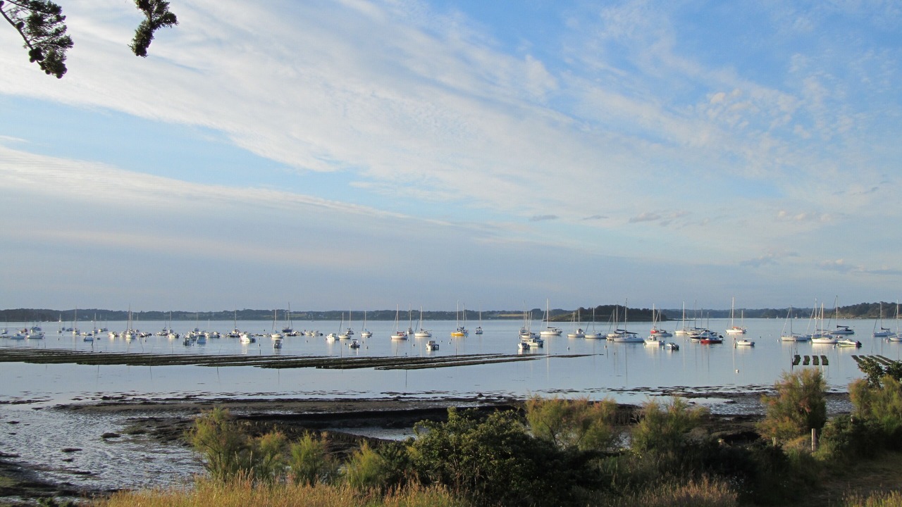 Photo of Others in Arzon