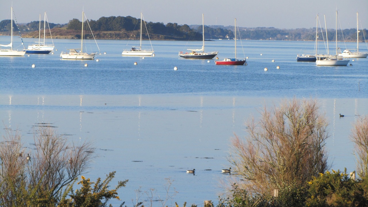 Photo of Others in Arzon