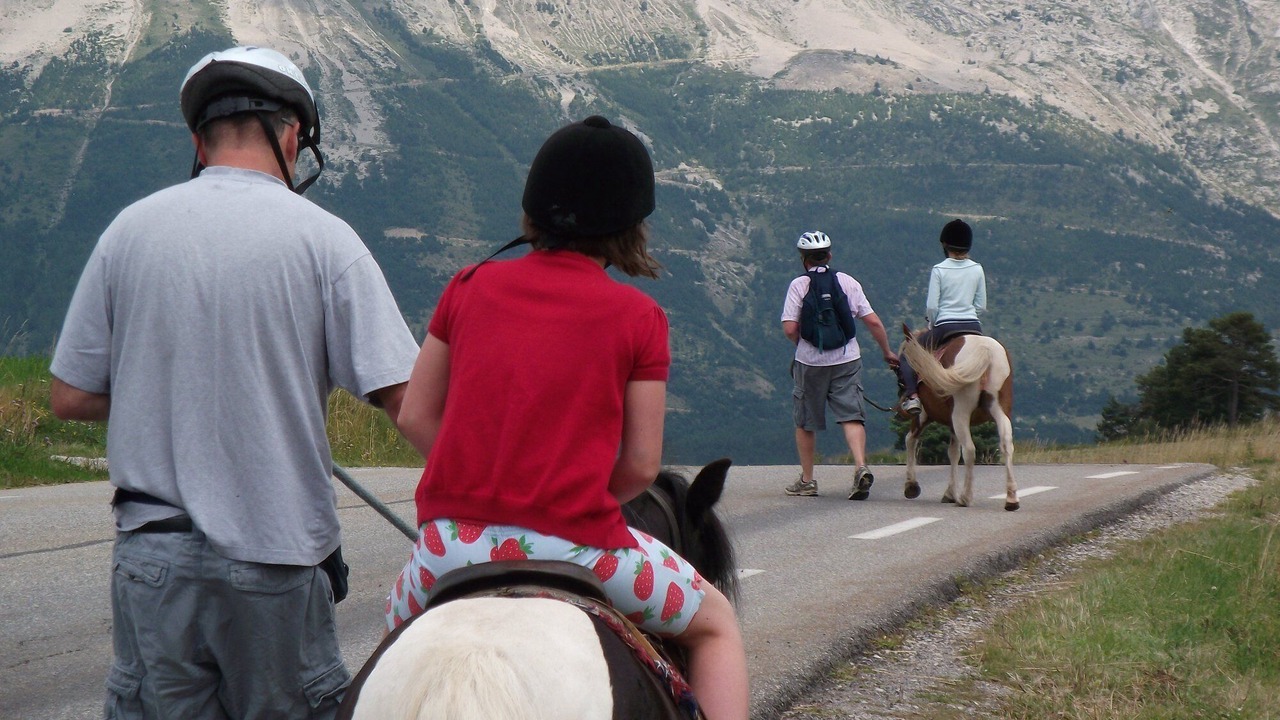 Photo of Others in La Joue du Loup