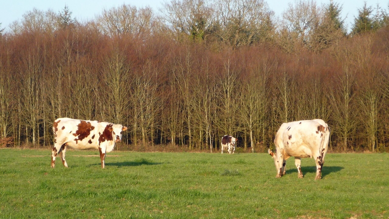 Photo of Outdoor in Langoelan