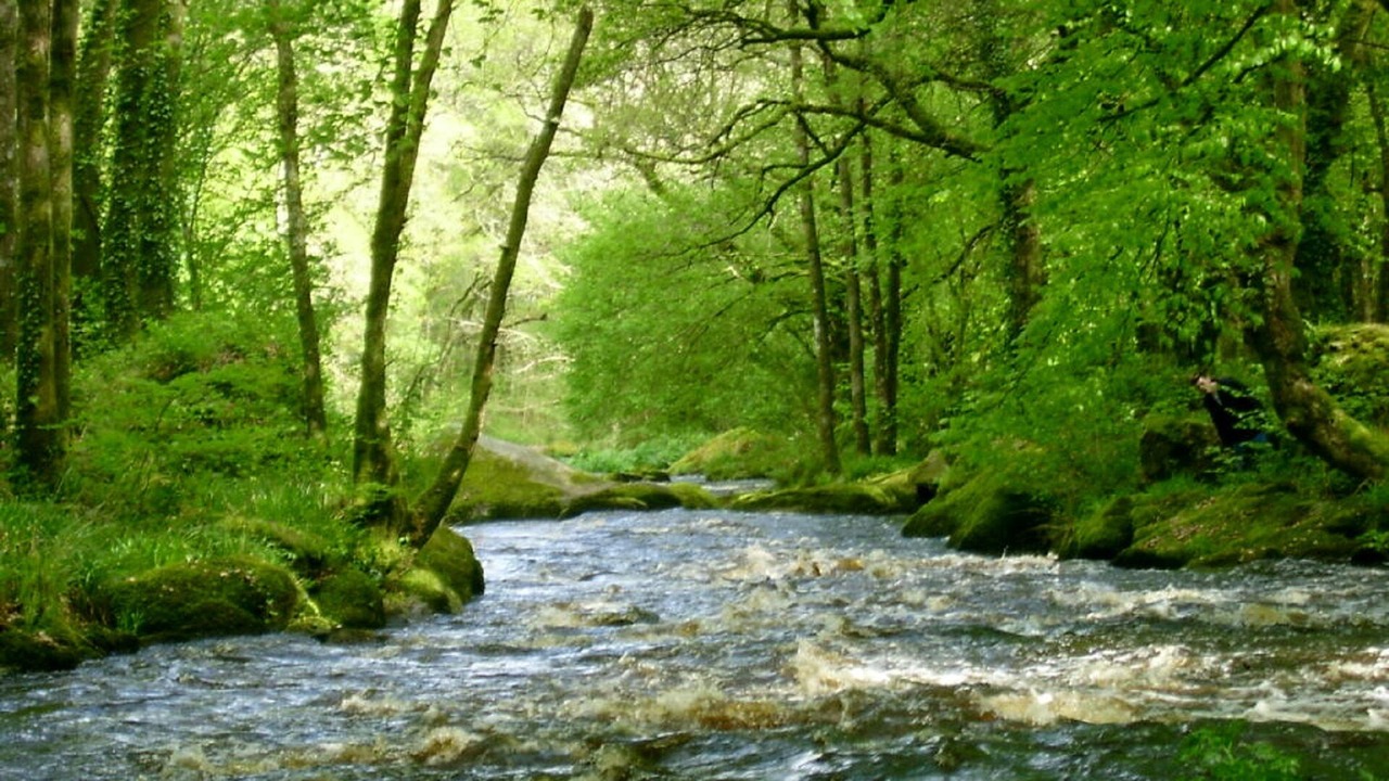 Photo of Outdoor in Langoelan