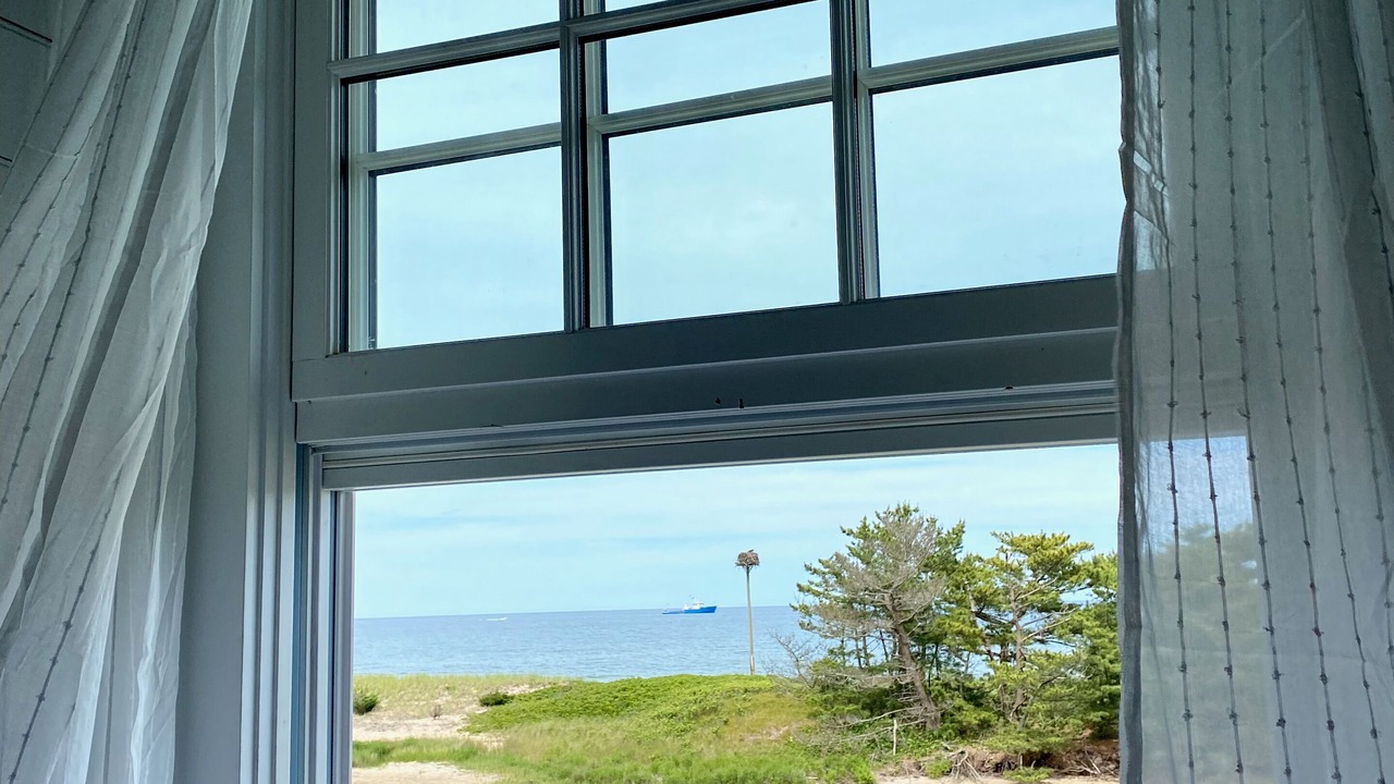 Photo of Others in Oak Bluffs