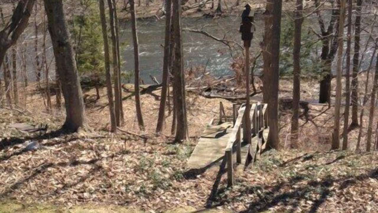 Photo of Others in Pulaski