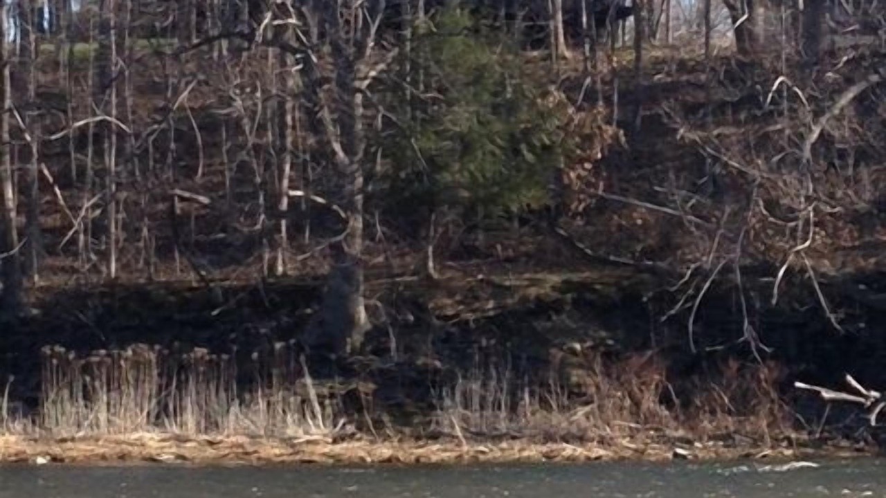 Photo of Others in Pulaski