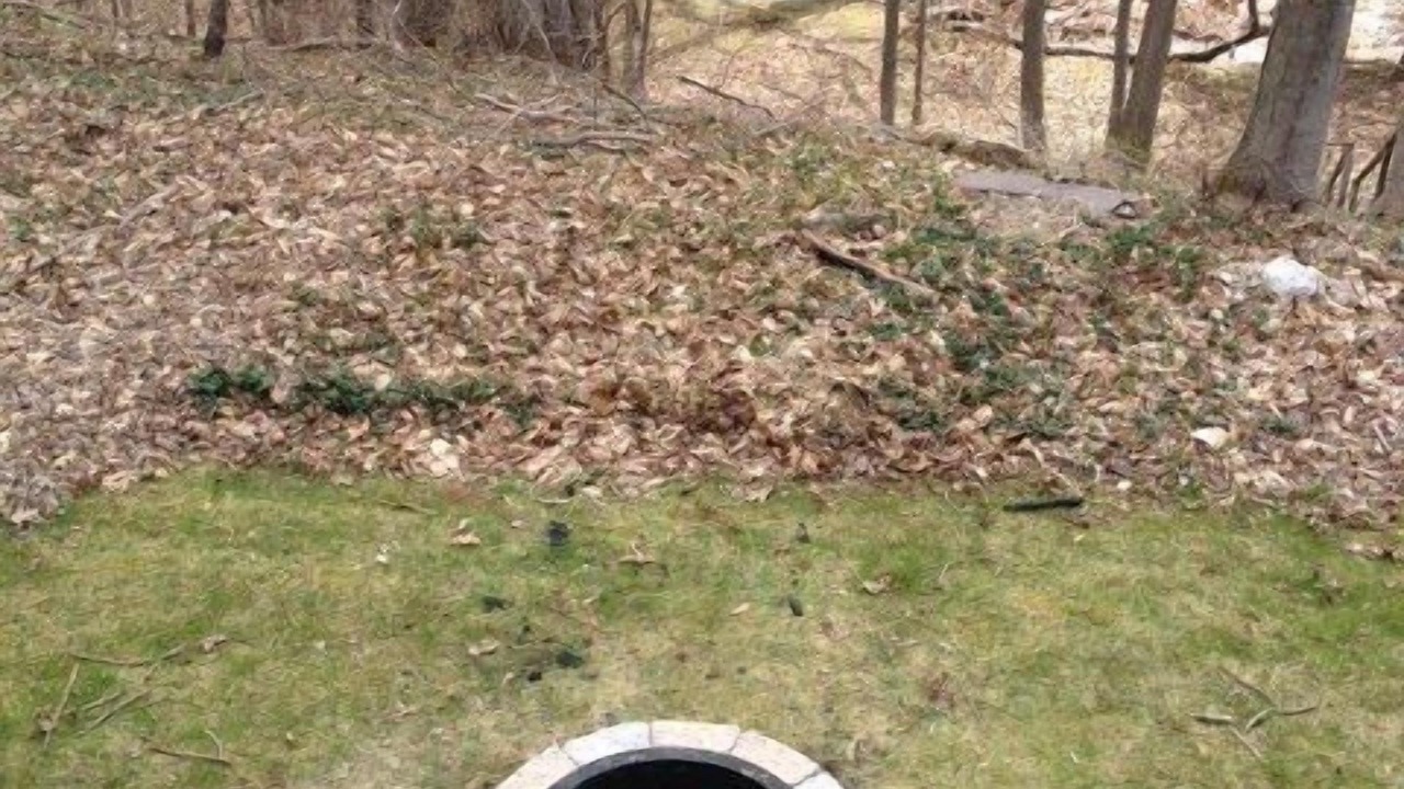 Photo of Others in Pulaski