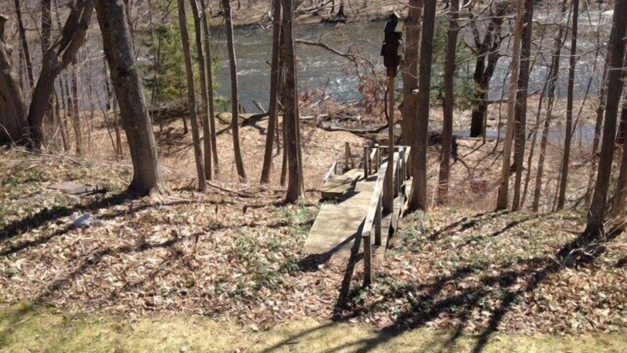 Photo of Others in Pulaski
