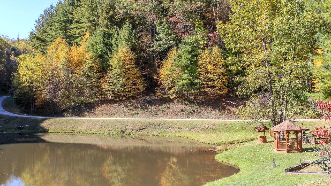 Photo of Outdoor in Grassy Creek