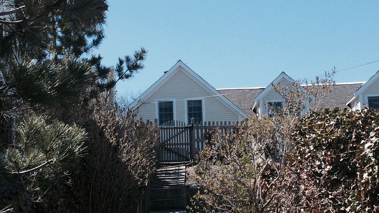 Photo of Others in Provincetown