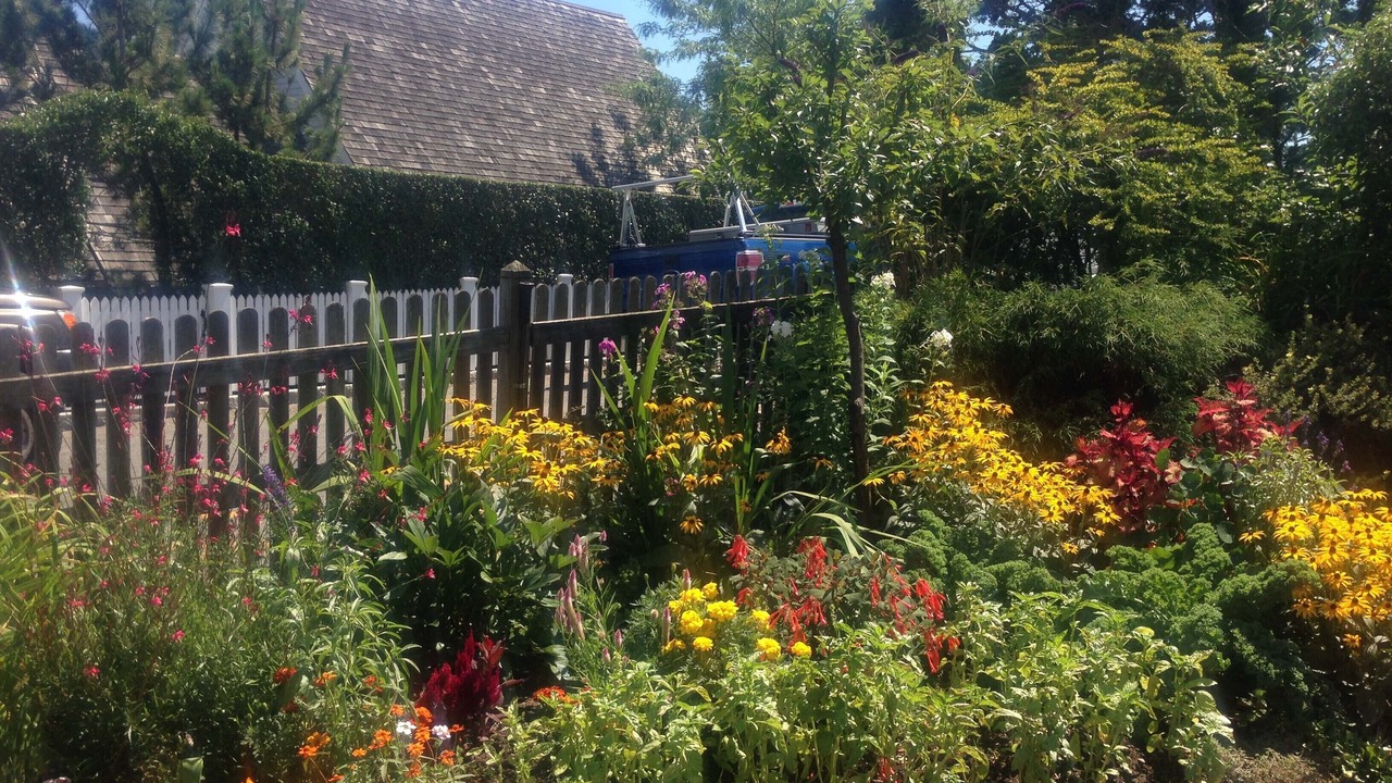 Photo of Outdoor in Provincetown