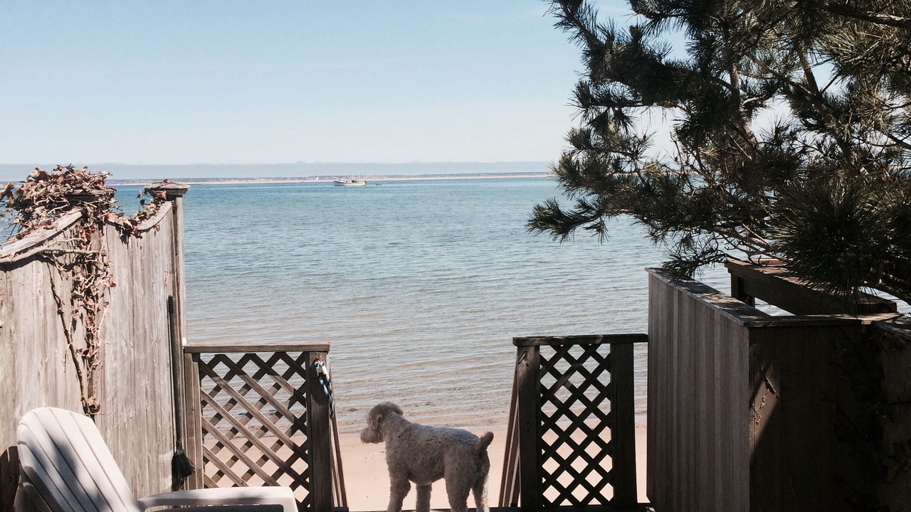 Photo of Others in Provincetown