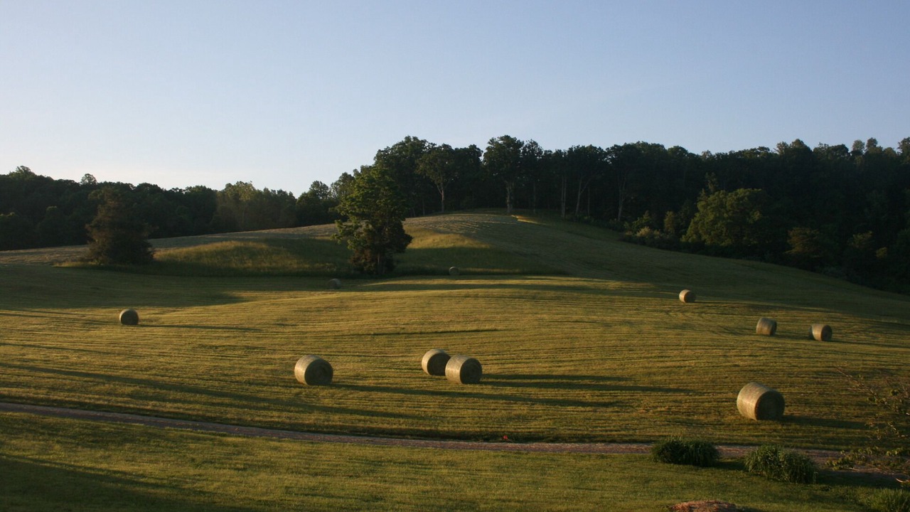 Photo of Others in Haywood