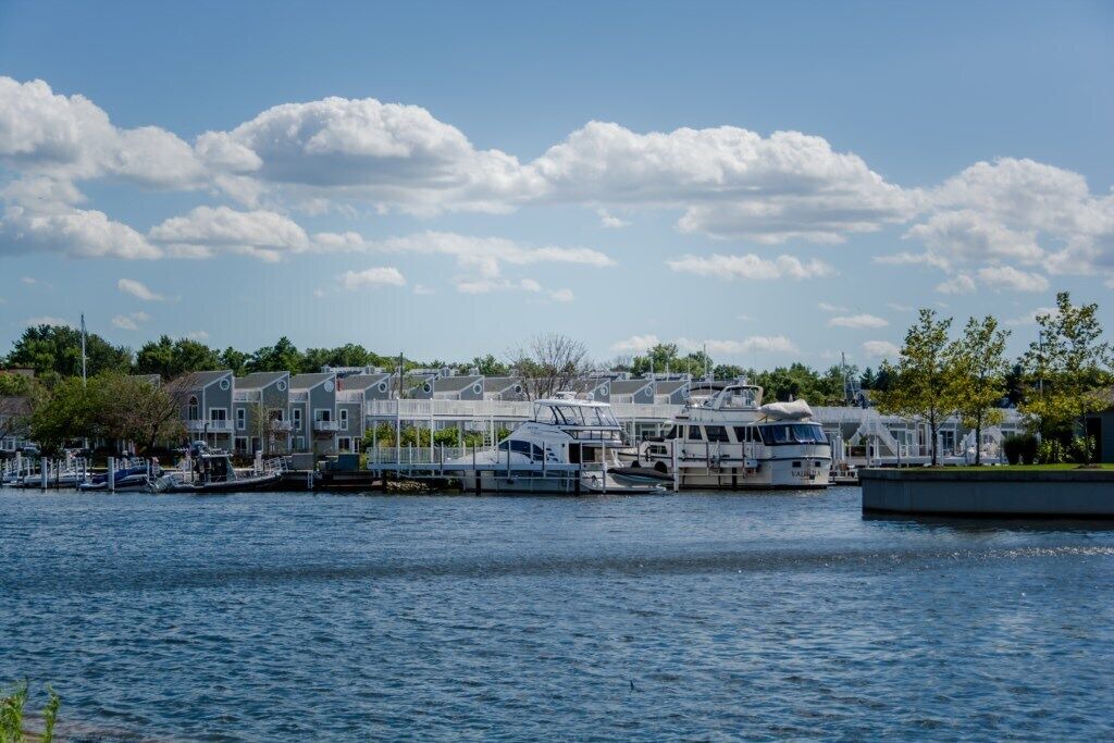Photo of Others in New Buffalo